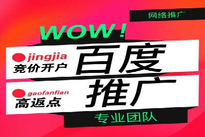 百度竞价托管运营策略案例分析